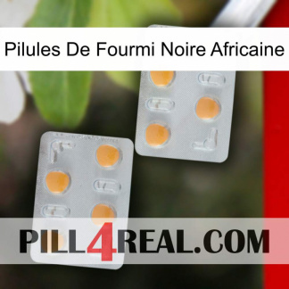 African Black Ant Pills 25